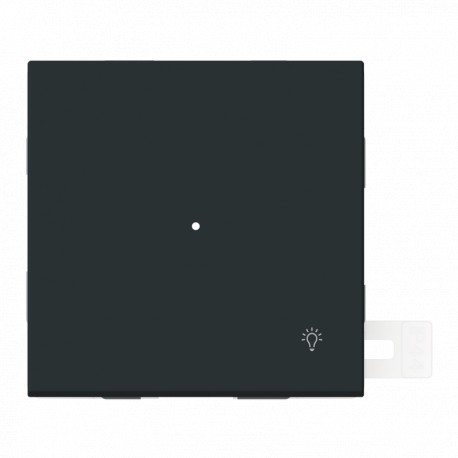 NIESSEN 2CLA480440A1501 2CLA480440A1501 4804.4 NT NIESSEN Light symbol key and NT display